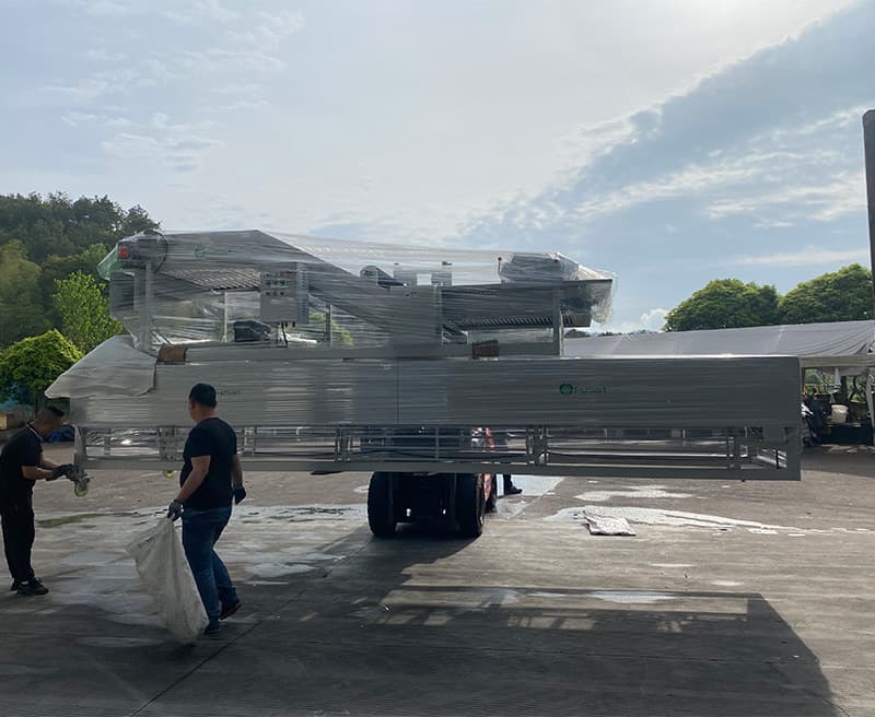 images/1747990870679process garlic.jpg